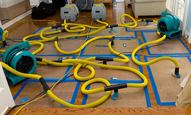 Professional Water Damage Restoration technician working in Glendale, SC